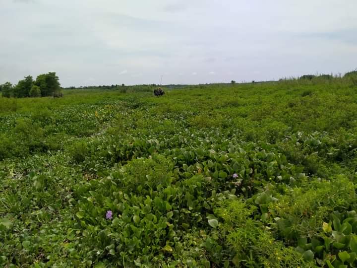 Alat Excavator Amfibi Milik BWSS3 Belum Bisa Diluncurkan Ke Kabupaten Indragiri Hilir