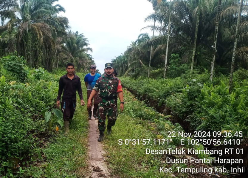Cuaca Mendung, Babinsa Koramil 03/Tpl Tetap Bersiaga Dengan Patroli Karhutla