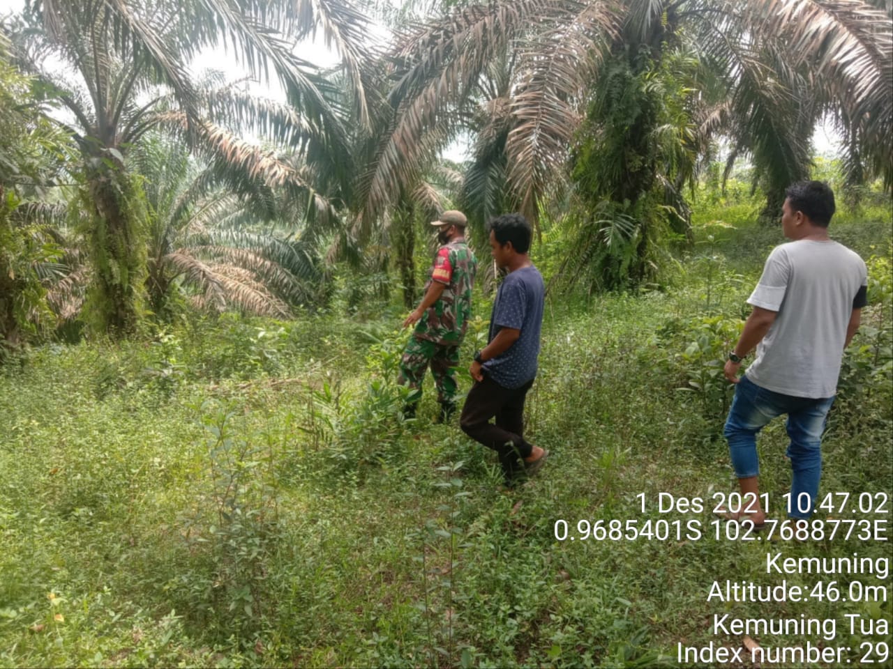 Sertu Adenan Hayat Rutin Lakukan Patroli Karhutla di Desa Binaan