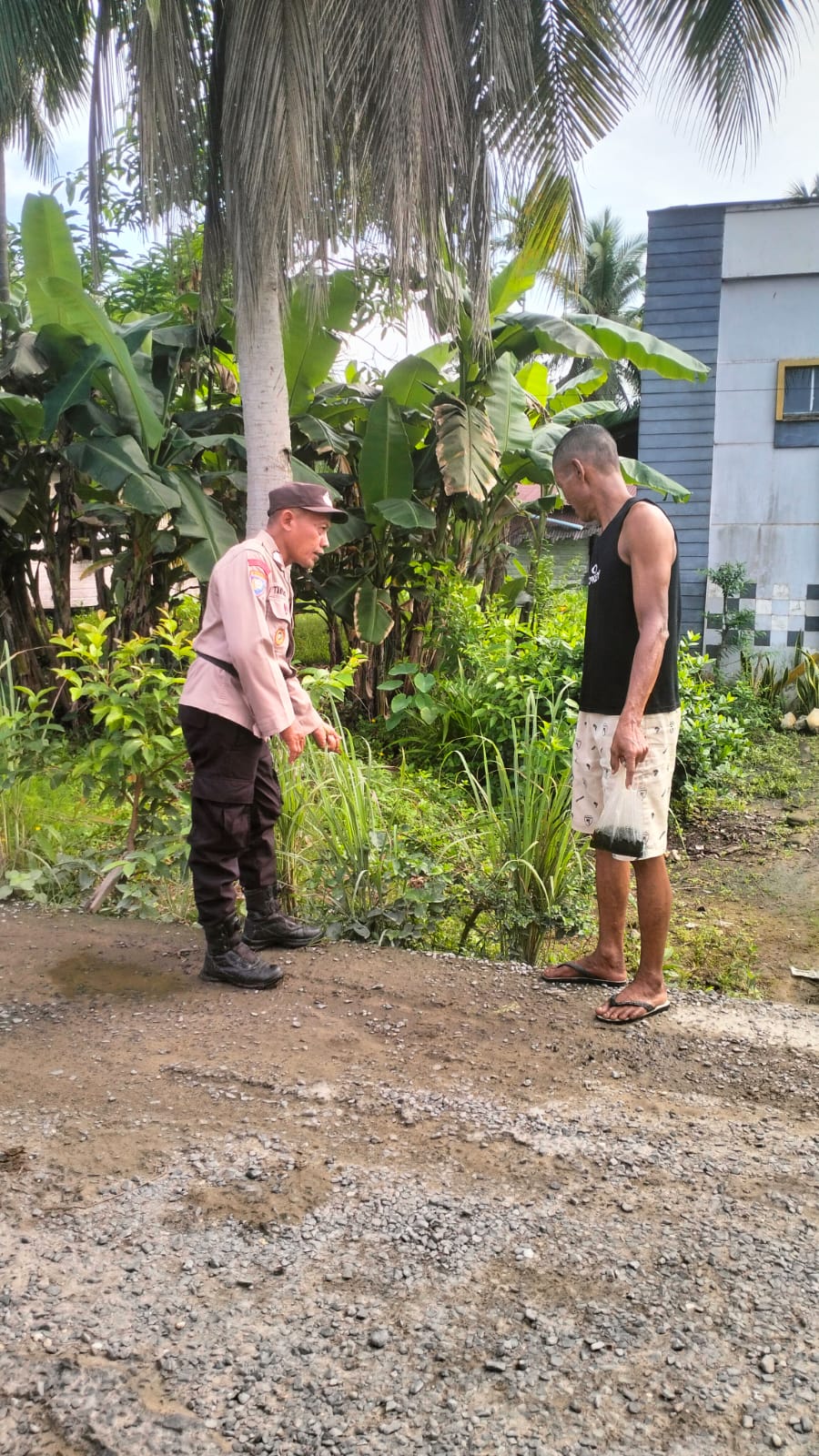 Jadi Sahabat Petani, Polsek Enok Dorong Warga Enok Rawat Cabe Rawit dan Serai Secara Rutin