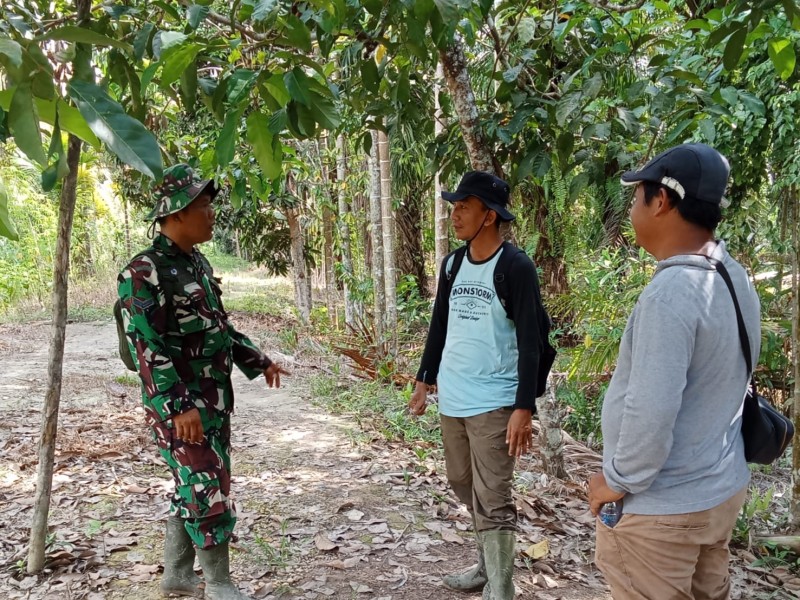 Patroli Gabungan Babinsa 03/Tempuling Pastikan Nihil Titik Api di Tapal Batas