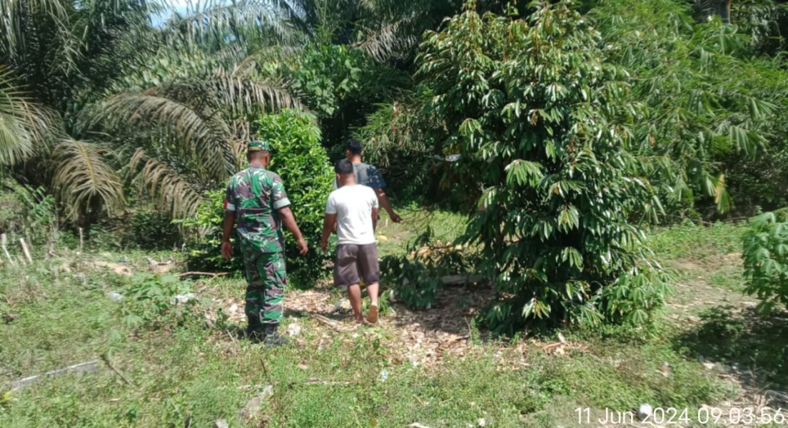 Babinsa Koramil 09/Kmg Giat Pemantauan Lahan Terkait Pencegahan Karhutla
