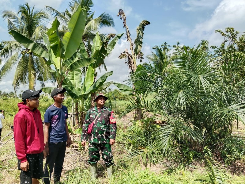 Antisipasi Kebakaran, Babinsa Koramil 07/RTH Laksanakan Patroli Tapal Batas