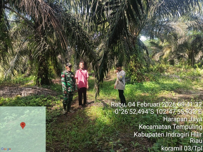 Babinsa Koramil 03/Tpl Intensif Laksanakan Patroli Karhutla Di Desa Binaan