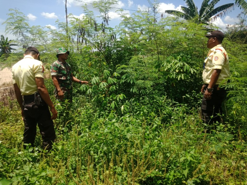Koptu Suriadi: Patroli Karhutla untuk Mencegah Kebakaran Hutan dan Lahan