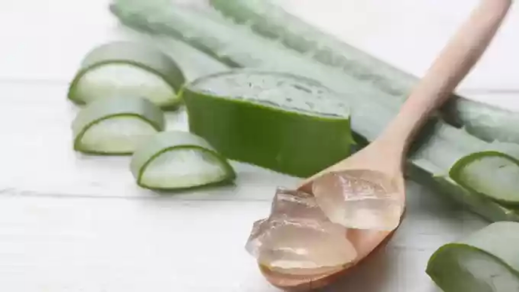 3 Manfaat Aloe Vera untuk Kesehatan Kulit Wajah