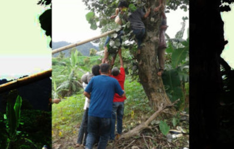 Pelajar Bogor Meninggal di Atas Pohon, Ini Penyebabnya