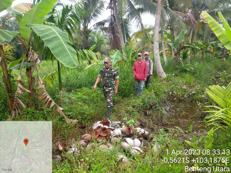Cegah Lahan dan Hutan Dari Kebakaran Bersama Babinsa Koramil 07/Reteh,