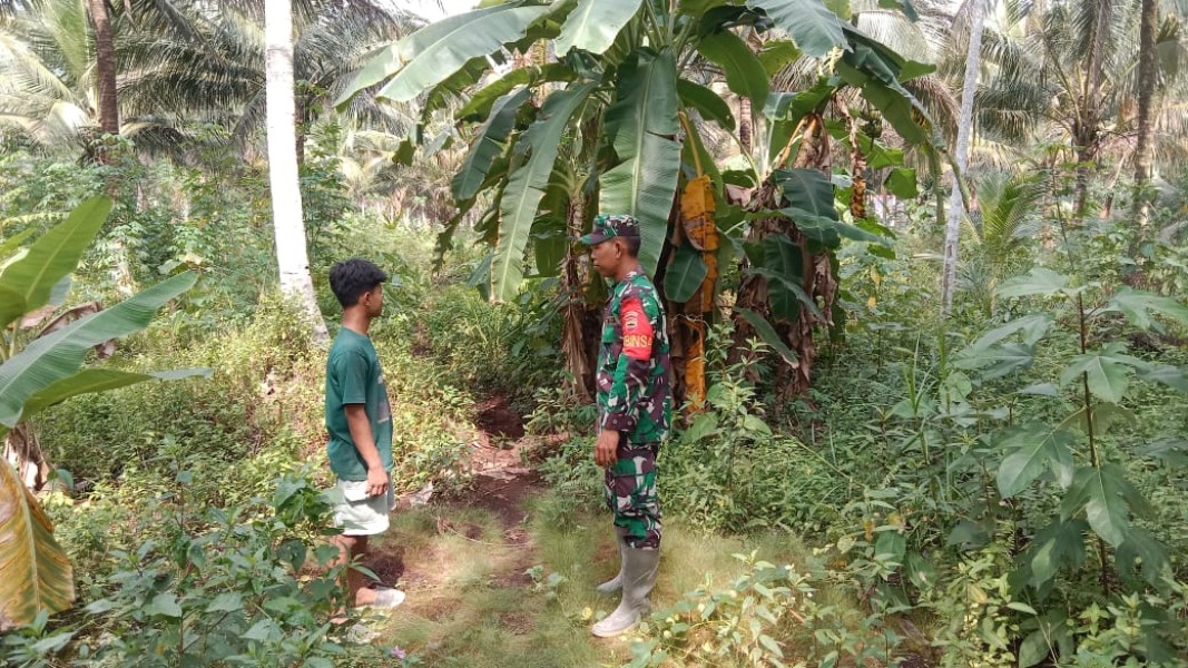 Patroli Karhutla di Diparit 5 Kelurahan Madani  Babinsa Meningkatkan Kesadaran Masyarakat