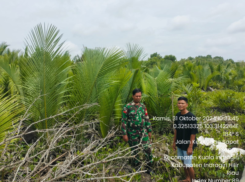 Babinsa Koramil 04/Kuindra Rutin Mewaspadai Karhutla di Kelurahan Sapat
