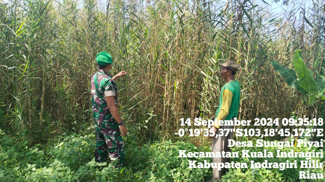 Patroli, Rutinitas Babinsa Koramil 04/Kuindra Dalam Upaya Pencegahan Karhutla