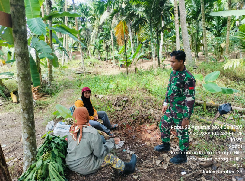 Babinsa Koramil 04/Kuindra Pantau Lahan dan Hutan Warga Guna Cegah Kebakaran
