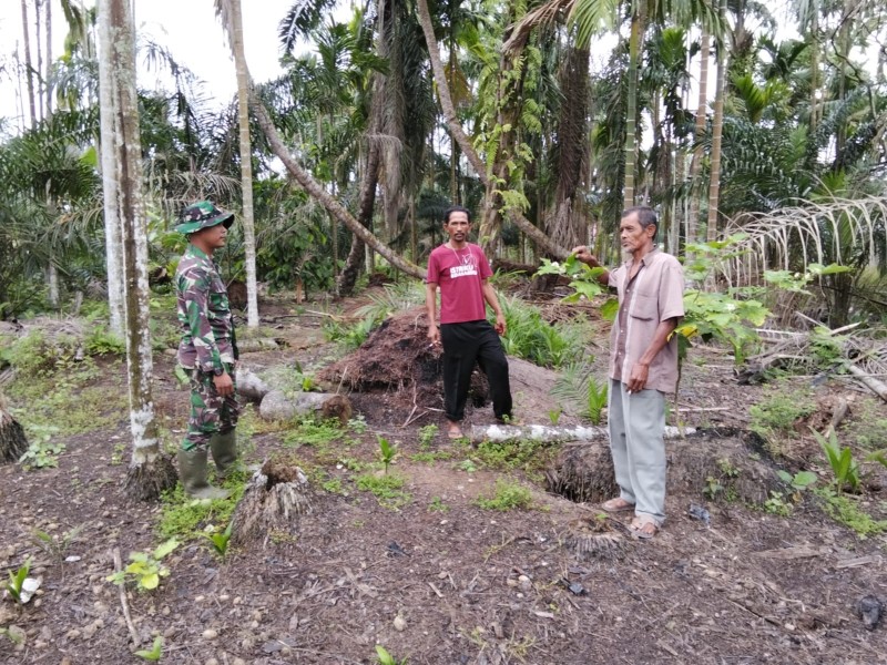 PATROLI TAPAL BATAS KORAMIL 03/TPL MENUNJUKKAN SITUASI AMAN DAN TERKENDALI