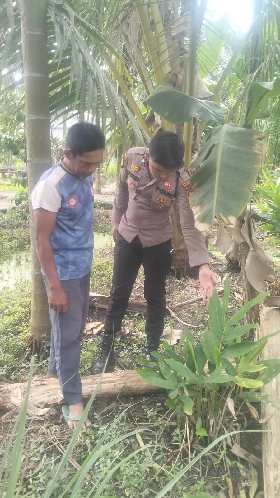 Dorong Kemandirian Warga, Personel Polsek Enok Dampingi Warga Binaan Pantau Tanaman pekarangan