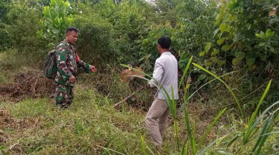 Terkait Wabah PMK,  Babinsa Koramil 05/Peranap Pantau Dan Cek Kesehatan Ternak Milik warga