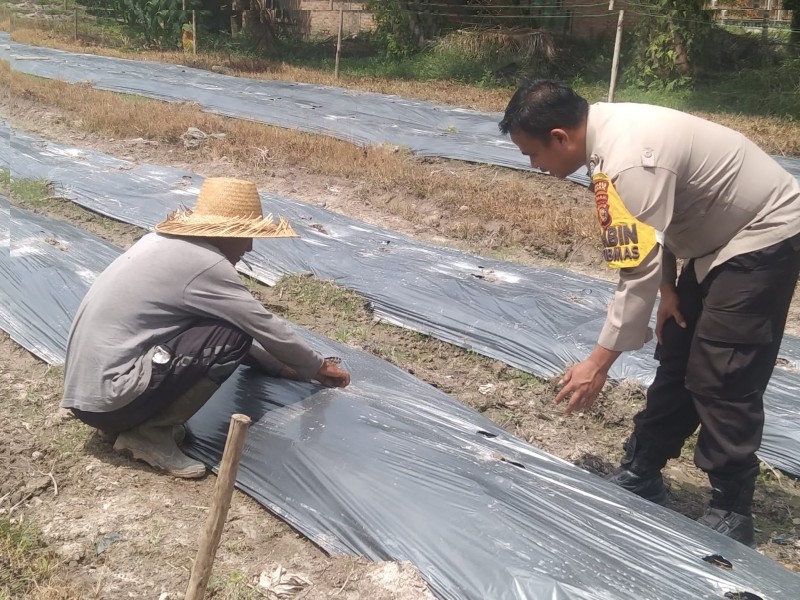 Bhabinkamtibmas Polsek Siak Ajak Warga Manfaatkan Lahan untuk Tanam Jagung Pipil