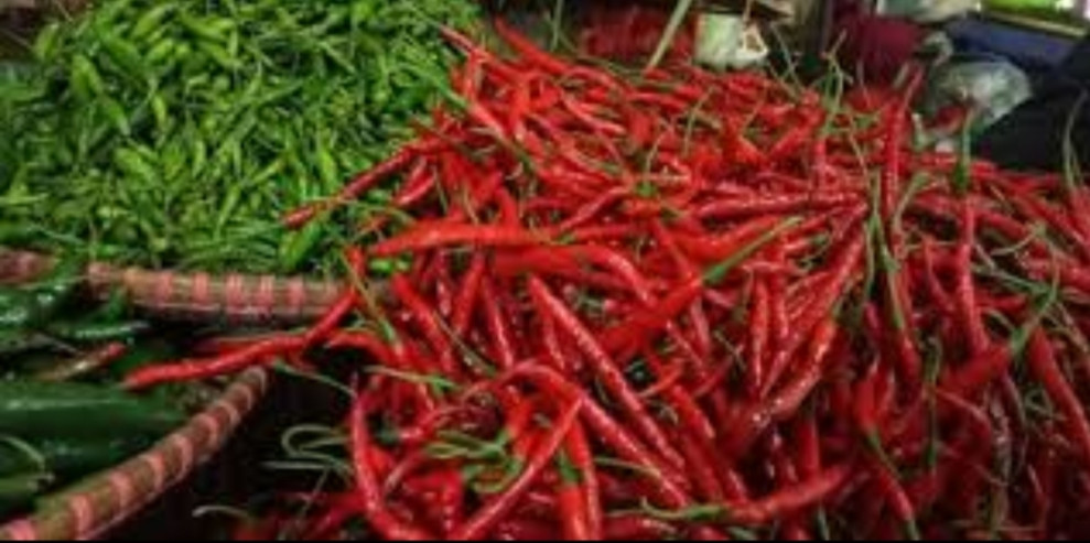 Harga Cabe di Pasar Tradisional Pekanbaru Mulai Meroket