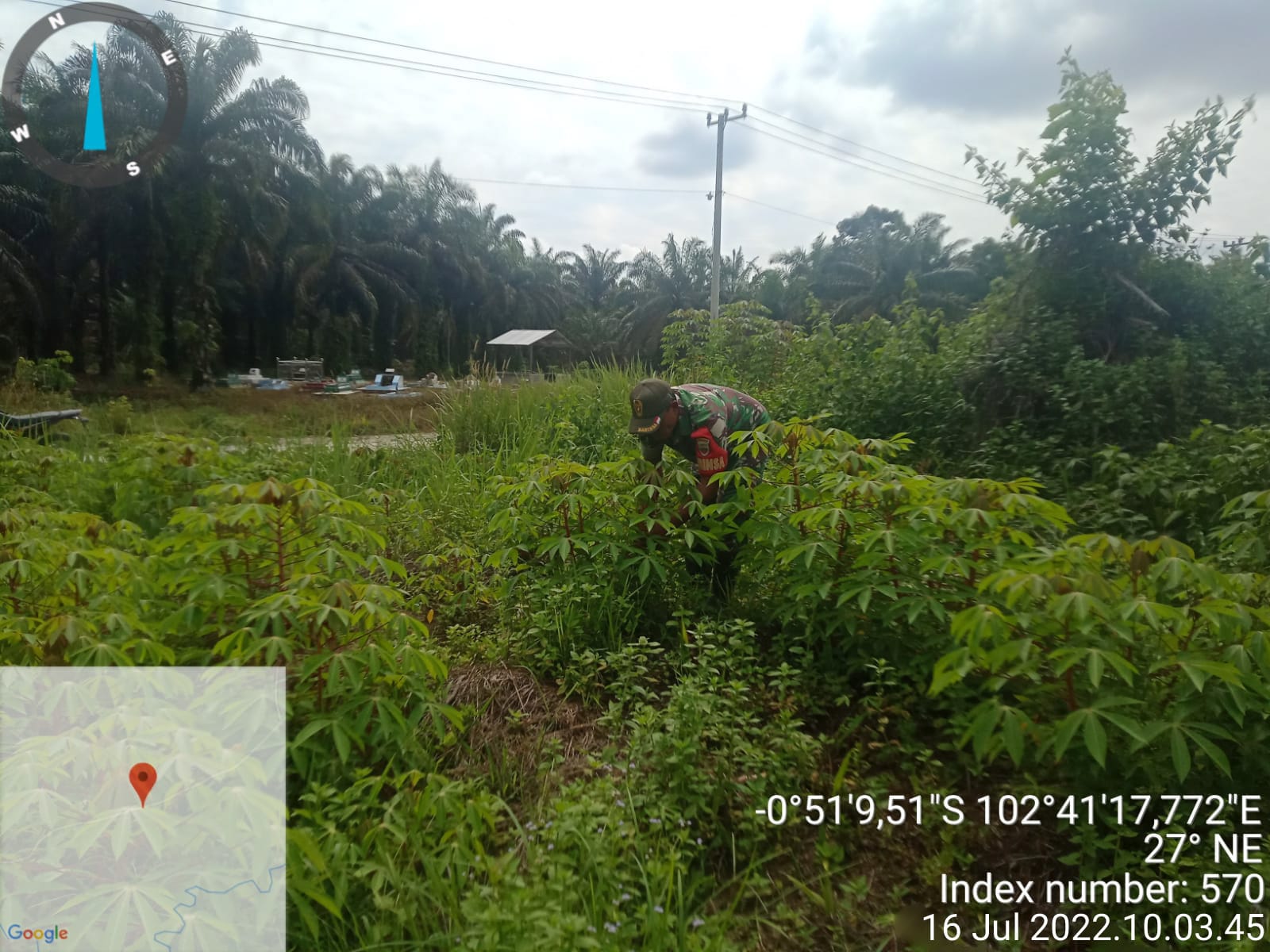 Upaya Pembersihan Gulma Oleh Serka M. Ridwan Di Daerah Binaan
