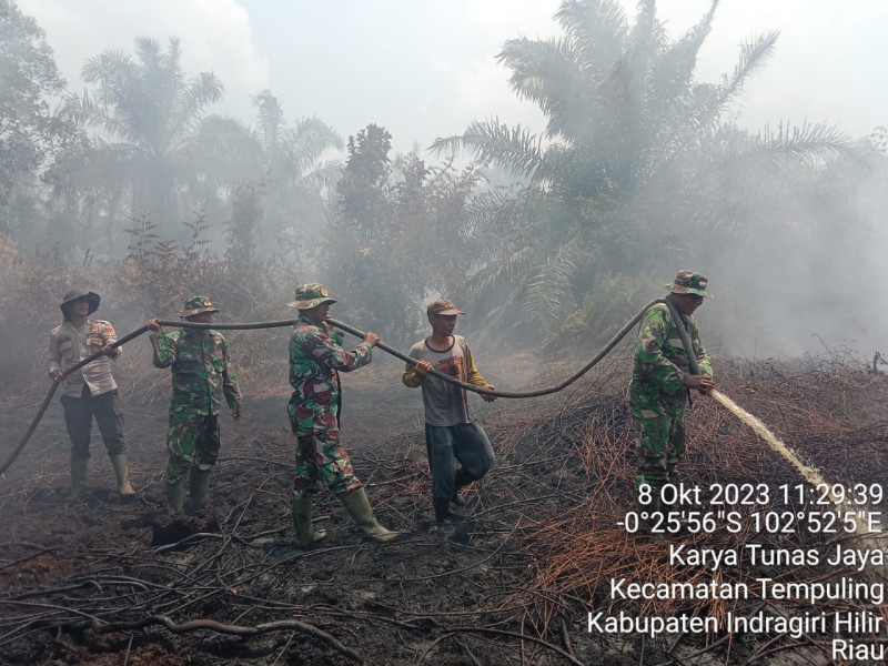 Pemadaman Karhutla Terus Di Lakukan Babinsa Koramil 03/Tpl Dengan Tim Gabungan di Wilayah Binaan