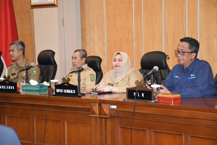 Bupati Kasmarni Sambut Baik Investor yang Akan Bangun PLTS 1.500 M Watt di Kabupaten Bengkalis, Nilainya Capai Rp 18 Triliun