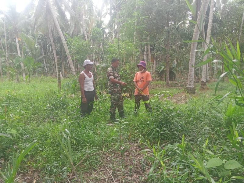 Babinsa Koramil 09/Kemuning Patroli Secara Berkala di Wilayah