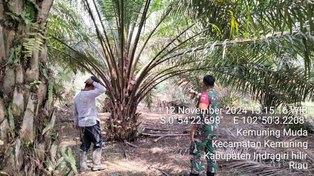 Pencegahan Karhutla Rutin Dilaksanakan Melalui Patroli Dengan Babinsa Koramil 09/Kemuning