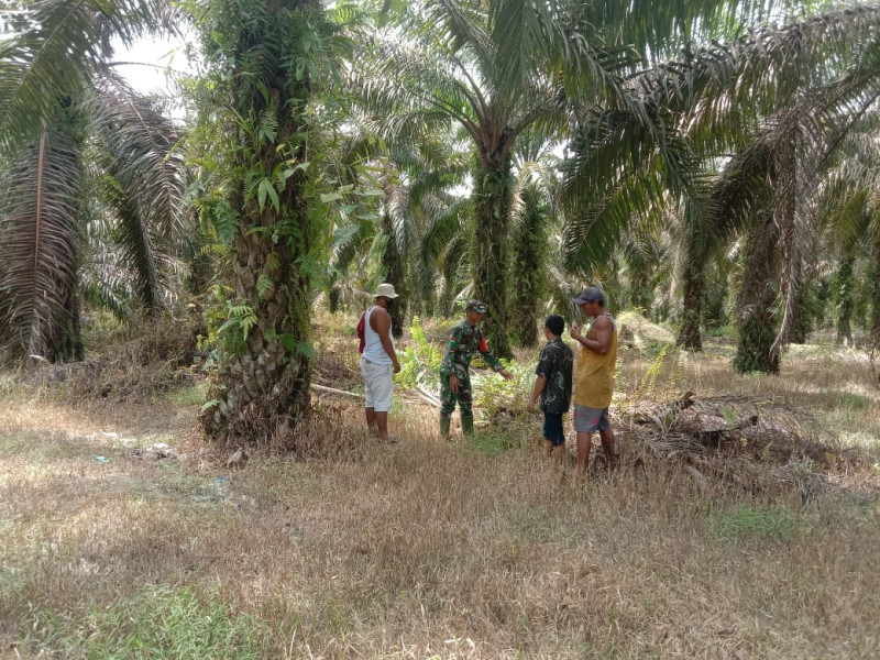 Babinsa Koramil 09/Kemuning Gelar Patroli Karlahut: Mencegah Kebakaran Hutan di Desa Sekara