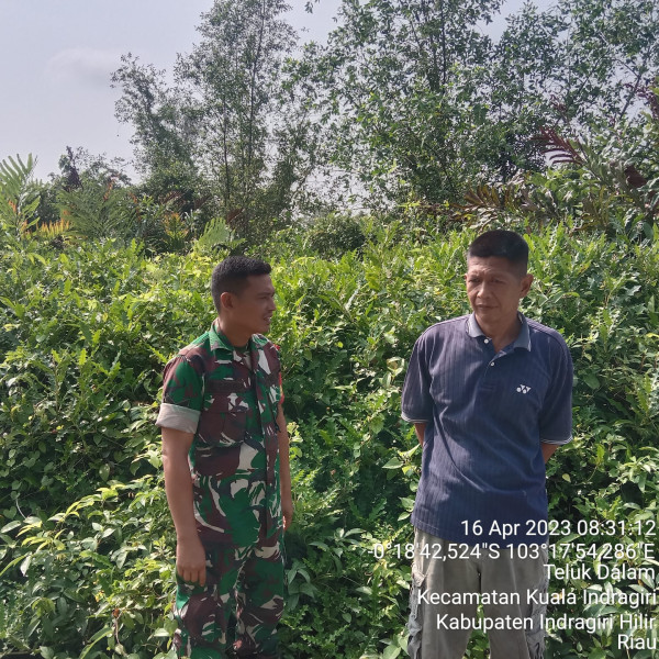 Babinsa Koramil 04/Kuindra Cegah Kebakaran Karhutla di Binaan