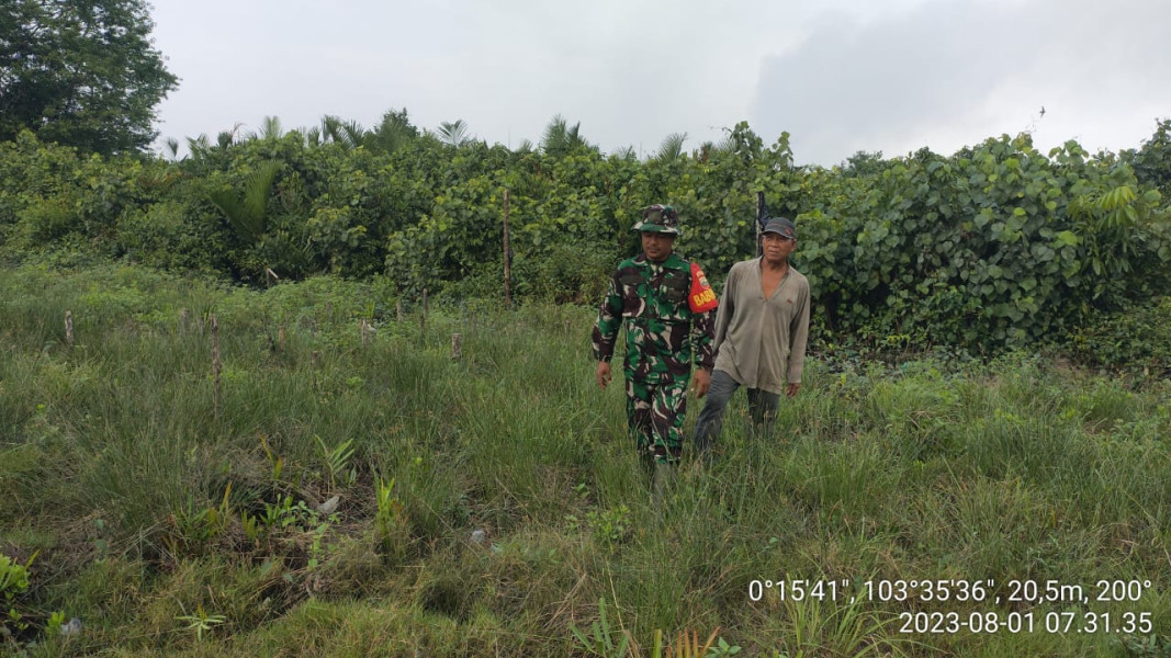 Babinsa Koramil 10/Pelangiran Terus Adakan Patroli Guna Mencegah Kebakaran
