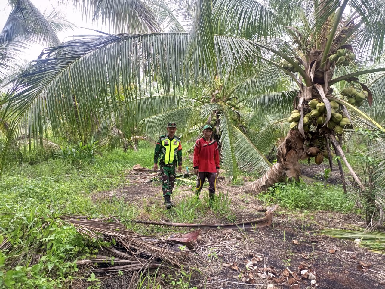 Babinsa Koramil 04/Kuindra Lakukan Patroli dan Sosialisasi Karlahut