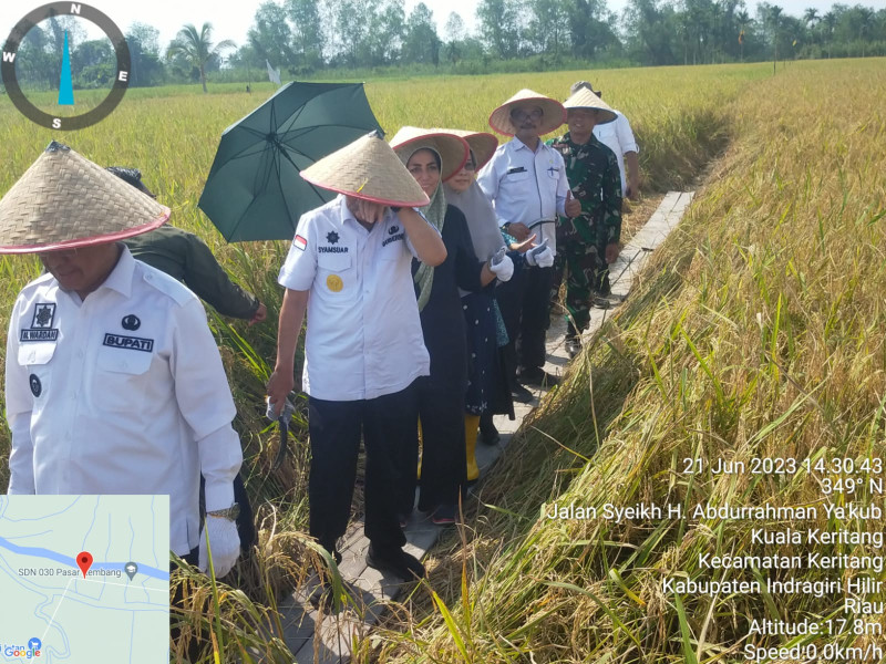 Kunjungan Gubri ke Kabupaten Inhil Sekaligus Pertemuan Gapoktan dan Panen Raya Bersama Bupati Inhil