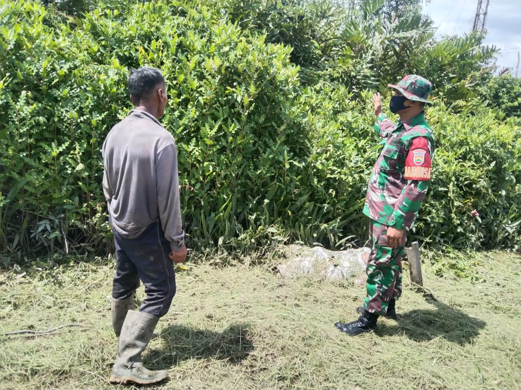 Antisipasi Karhutla, Babinsa Koramil 04/Kuindra Rutin Lakukan Patroli dan Sosialisasi
