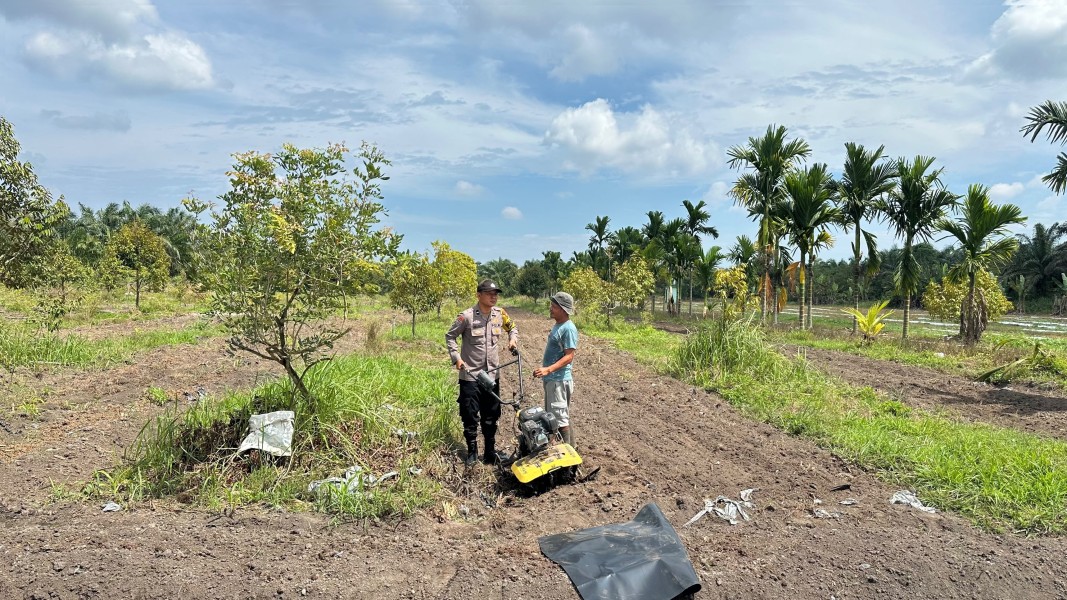 Dukung Ketahanan Pangan Personil Polsek Koto Gasib Menyiapkan  Lahan Jagung di Poktan Mekar Sari