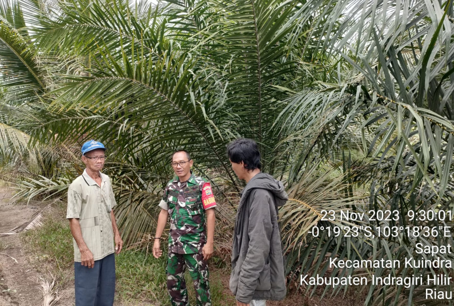 Babinsa Koramil 04/Kuindra Rutin Mengingatkan Masyarakat Untuk Terus Menjaga Keamanan dan Lingkungan Setempat Dari Karhutla