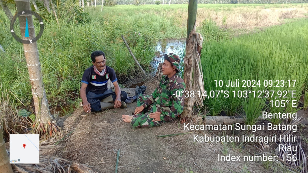 Dengan Komsos, Koramil 07/Reteh Juga Lakukan Pengecekan Padi Yang Sedang Ditanam