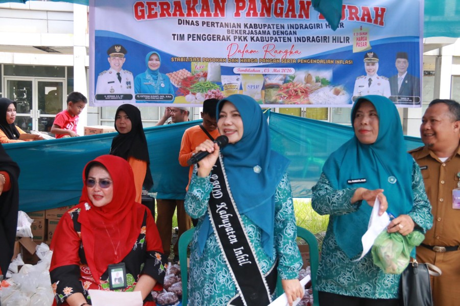 Katerina Susanti Tinjau Pangan Murah di Tembilahan, Janji Perluas ke Kecamatan Lain