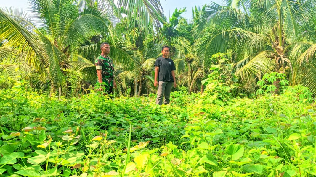 Babinsa Koramil 07/Reteh Laksanakan Patroli Tapal Batas di Desa Sungai Mahang