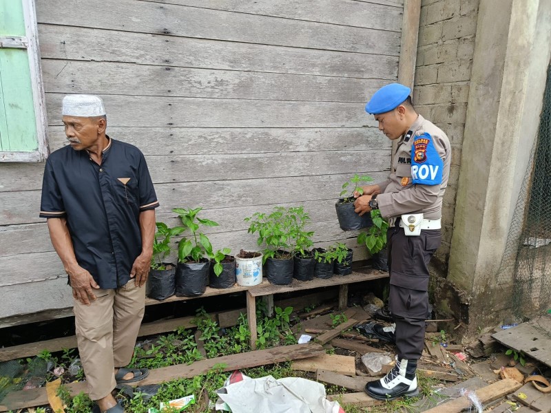 Enok Bergerak: Dari Lorong Baru ke Dapur Warga, Polri Pacu Ketahanan Pangan Nasional