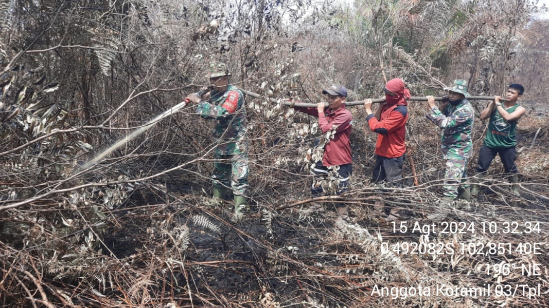 Tidak Kenal Lelah, Babinsa Koramil 03/Tpl Berjibaku Melakukan Pendinginan Kebakaran Hutan Dan Lahan