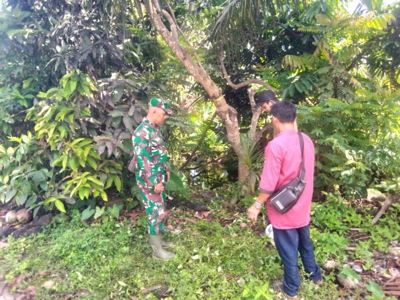 Babinsa Koramil 03/Tpl patroli tapal batas serta identifikasi lahan perkebunan warga