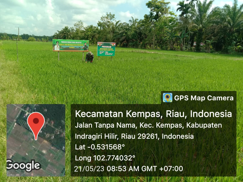 Bentuk Monitoring Bidang Pertanian, Babinsa 03/Tpl Dampingi Petani