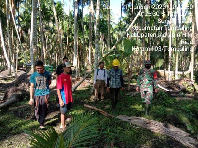 Babinsa 03/Tpl Bersama MPA Patroli Karhutla di Kebun Kelapa
