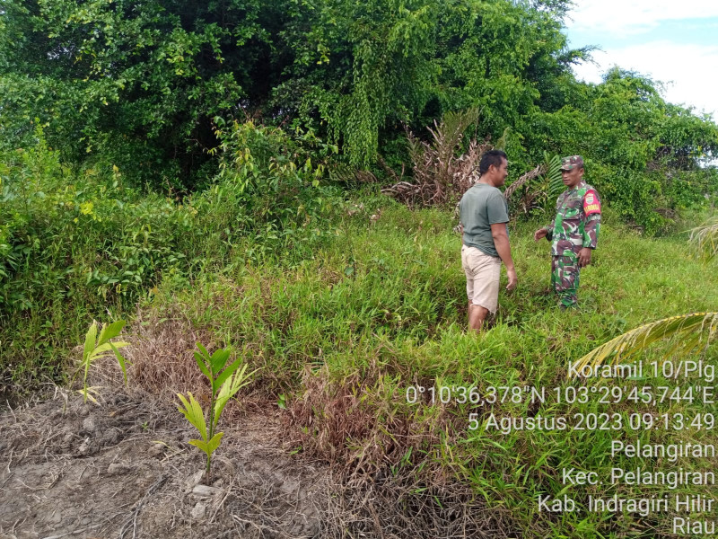 Giat Patroli, Babinsa Koramil 10/Pelangiran Terus Pantau Lahan dan Hutan