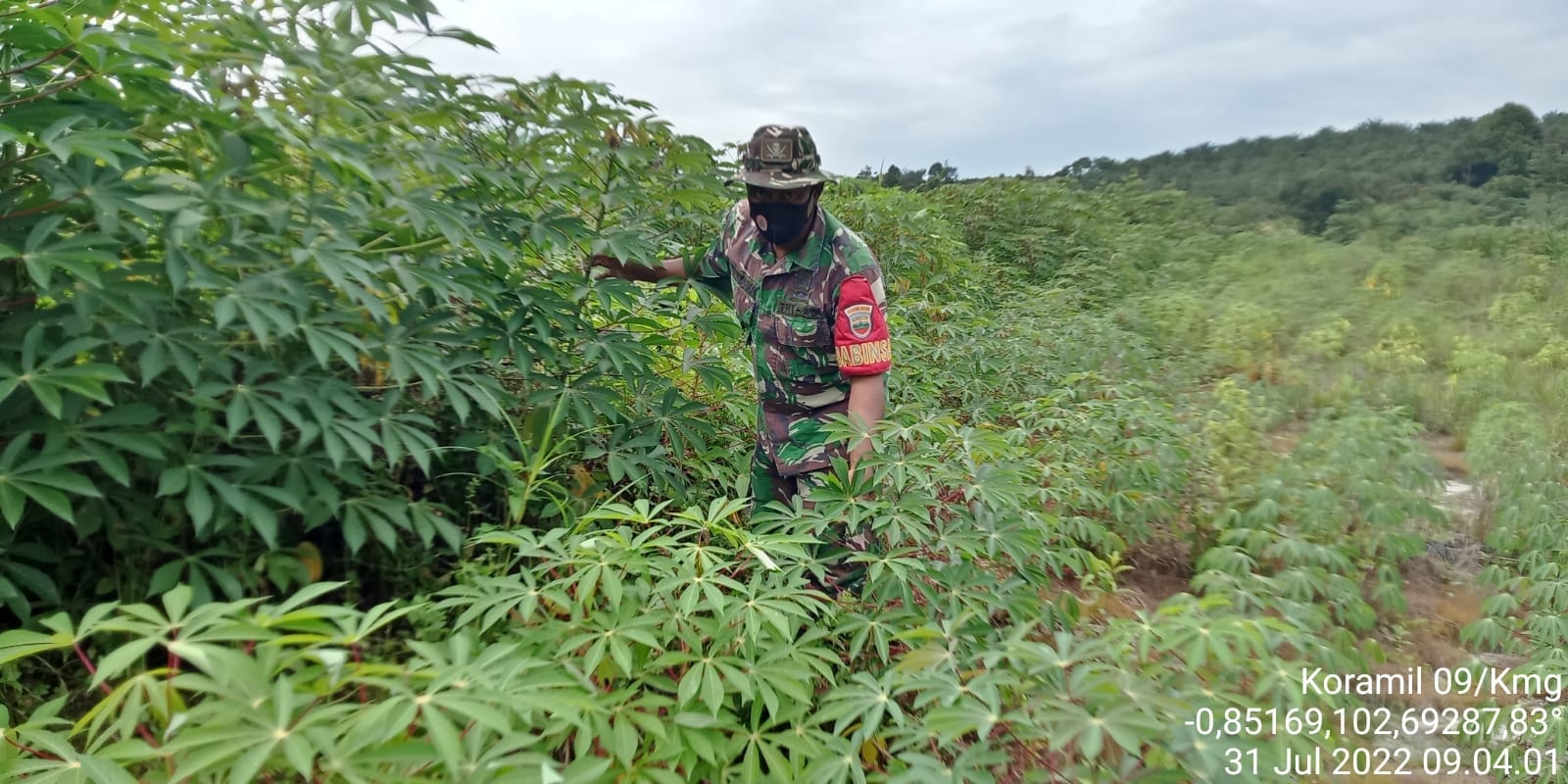 Giat Lakukan Penanaman Ketahanan Pangan di Wilayah Binaan Oleh Serka M. Ridwan