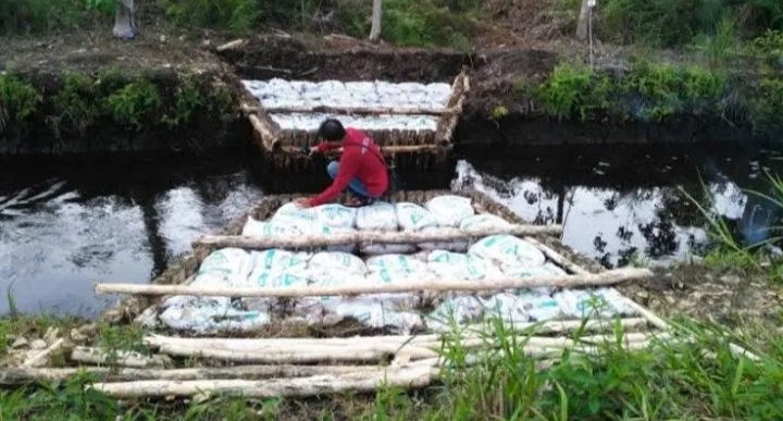 Antisipasi Karhutla, Pemprov Riau Bangun 100 Sekat Kanal