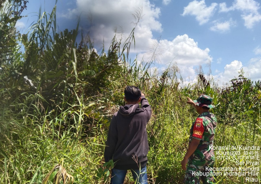 Guna Jaga Hutan dan Lahan, Babinsa Koramil 04/Kuindra Terus Lakukan Patroli Rutin