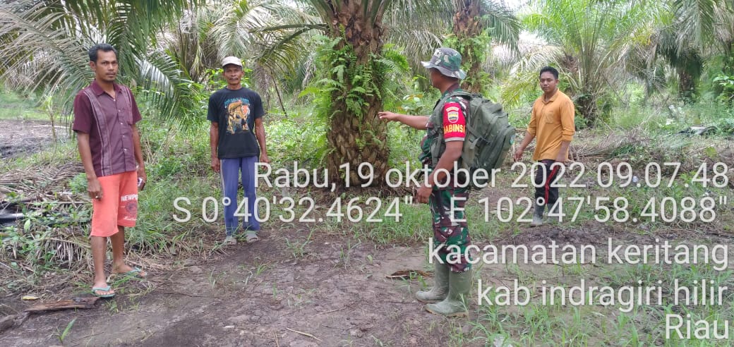 Babinsa Koramil 09/Kemuning Himbau Masyarakat Agar Peduli Terhadap Lahan dan Hutan