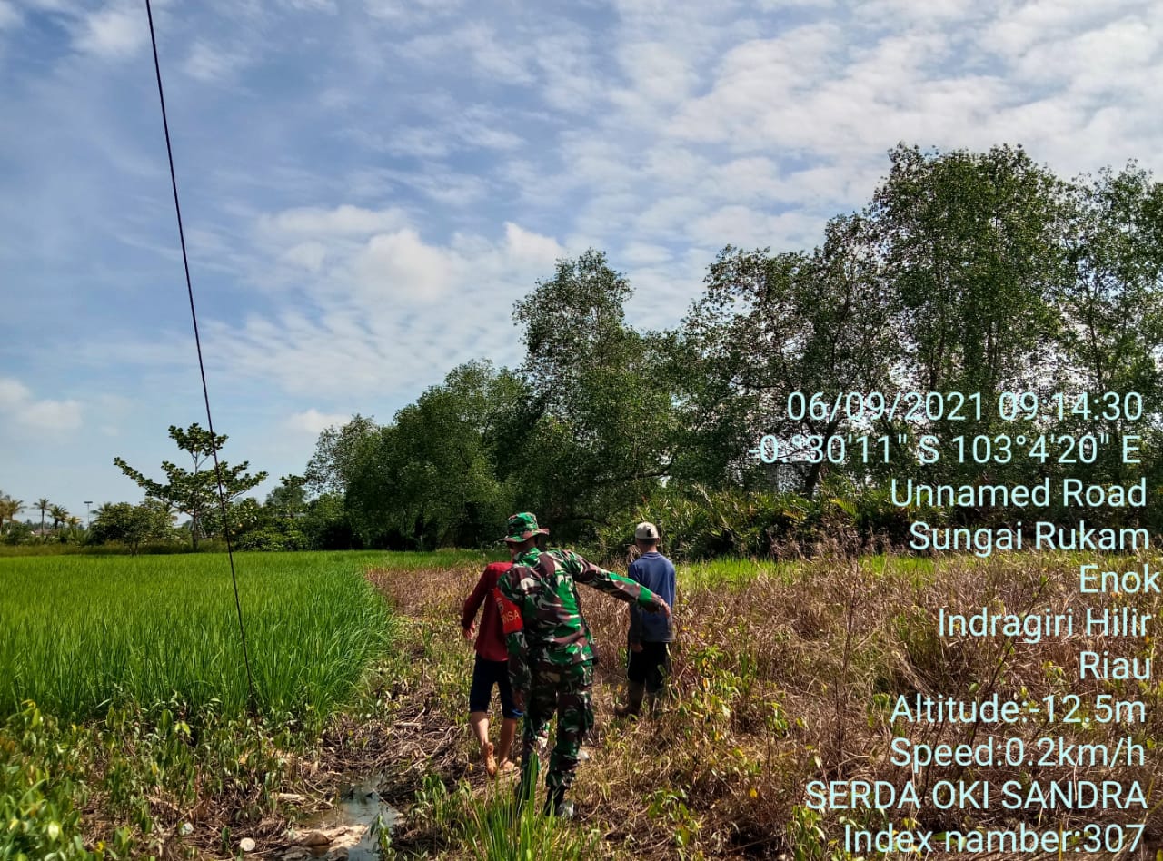 Cegah Karhutla di Sungai Rukam, Babinsa 02/Tanah Merah Lakukan Patroli
