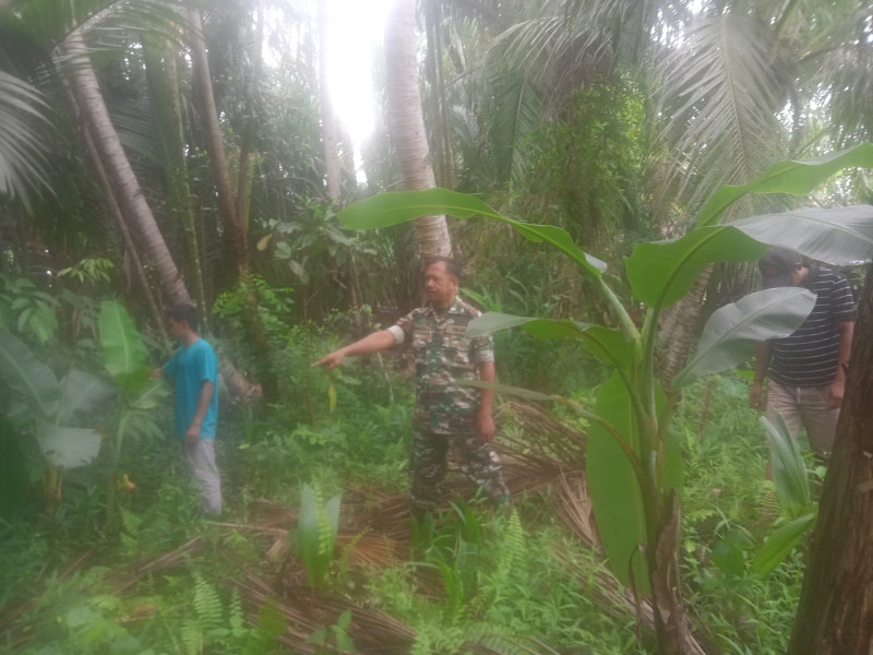 Babinsa Koramil 09/Kemuning Patroli Rutin Karhutla