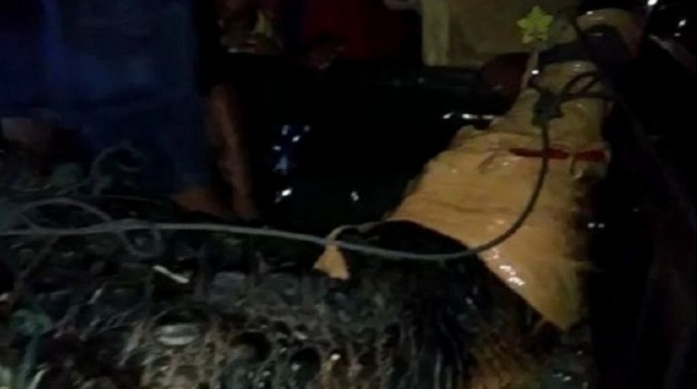 Sudah Meresahkan, Warga Tangkap Buaya Berukuran Empat Meter Sudah Meresahkan, Warga Tangkap Buaya Berukuran Empat Meter